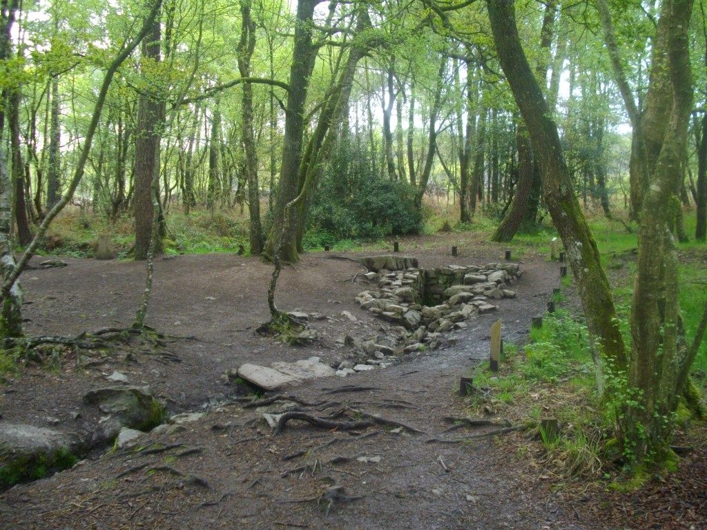 forêt de Brocéliande lieu énergétique puissant