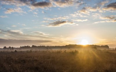 La naissance du printemps : les origines païennes de la Chandeleur