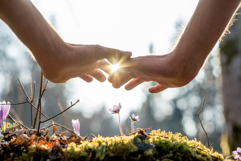 ressentir les énergies de la nature et des saisons