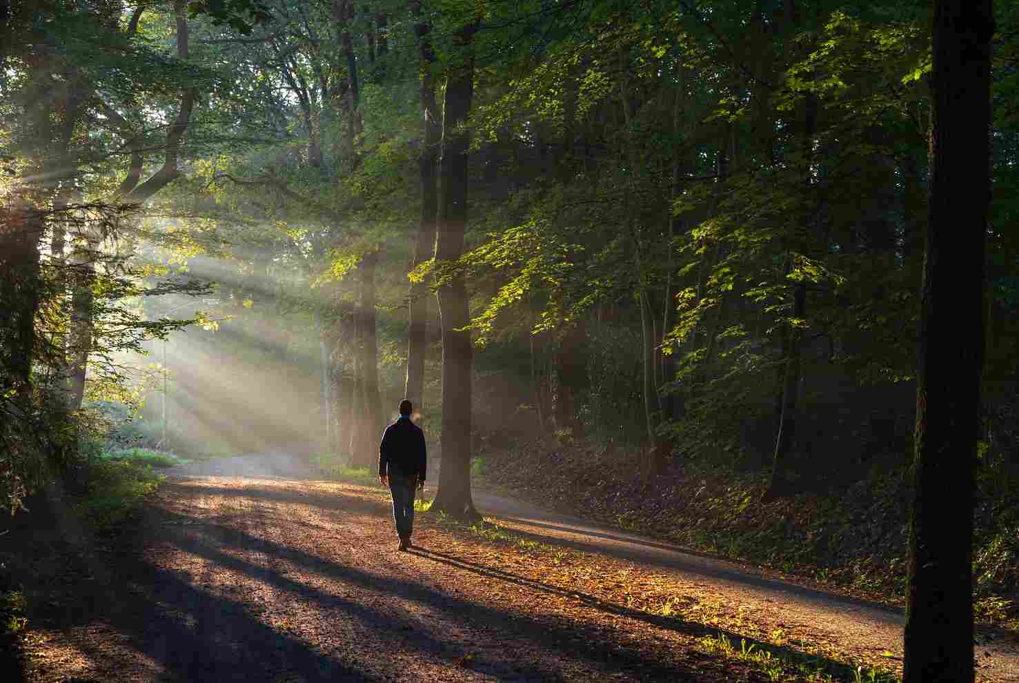 un homme se ressource dans la nature : il traverse une période difficile