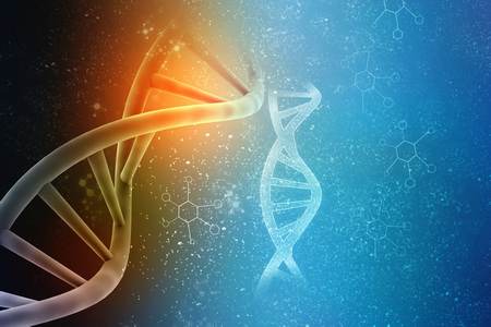 ADN patrimoine génétique et mémoire de vos Ancêtres