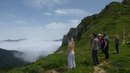 Qi Gong de la montagne