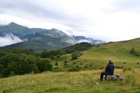 Quête de vision dans les Pyrénées