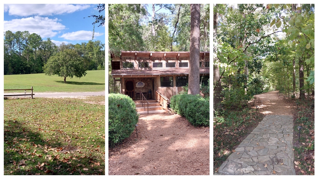Qui est Michael Singer et quel est son enseignement ? Le temple de Michael Singer - Alachua Floride USA